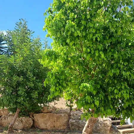 Hercules Hills Sea View דירה