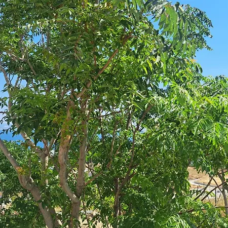 Apartmán Hercules Hills Sea View *