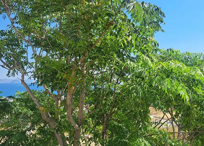 アパート Hercules Hills Sea View *